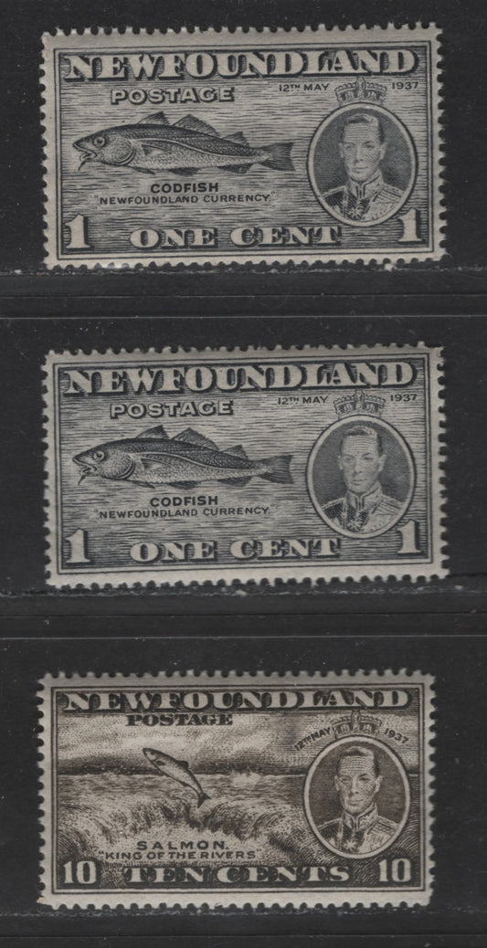 Lot 306 Newfoundland #233, 237 1c, 10c Grey Black & Olive Black Codfish & Salmon Leaping Falls, 1937 Long Coronation issue, 3 Fine NH, OG And VFNH Singles Perf. 14.25 x 14.2, Perf. 13.8, Perf. 13.9