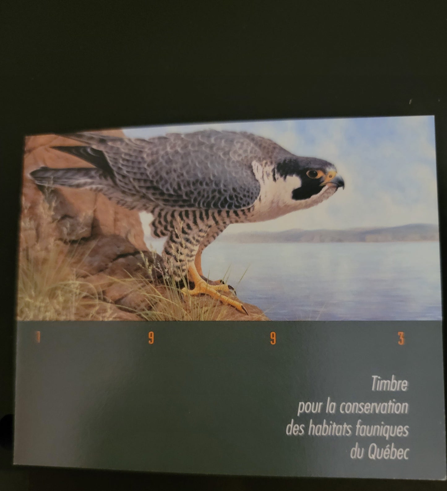 Lot 371 Canada - Province of Quebec #QW6  Multicoloured Peregrine Falcon, 1993 Quebec Wildlife Habitat Conservation Issue, A VFNH Miniature Sheet Of 1 On DF Paper