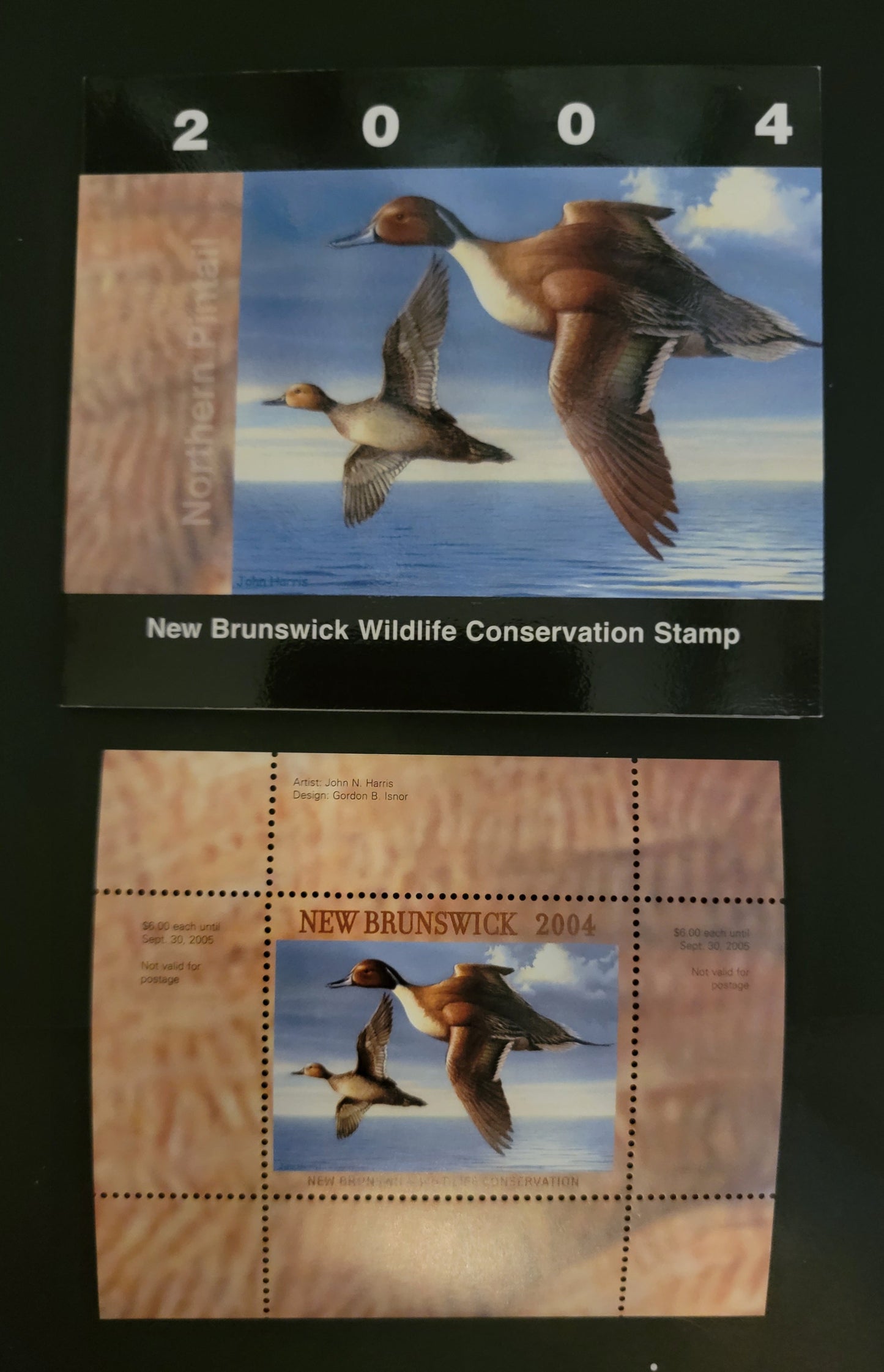 Lot 386 Canada - Province of New Brunswick #NBW11  Multicoloured Northern Pintail, 2004 New Brunswick Conservation Fund Issue, A VFNH Miniature Sheet Of 1 On HB Paper