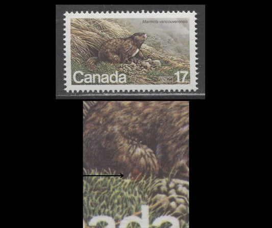 Lot 389 Canada #883i 17c Multicoloured Vancouver Island Marmot, 1981 Endangered Wildlife Issue, A VFNH Single, Red Spot on Knee (Pos. 45), LF3/LF4 Paper, Possibly Constant or Tertiary