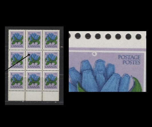 Canada #705var 1c Multicoloured Bottle Gentian, 1977-1982 Floral Issue, A VFNH Bottom Sheet Margin Block Of 9 With "Bullet Hole" Donut Flaw Variety On Centre Stamp, DF/DF Paper