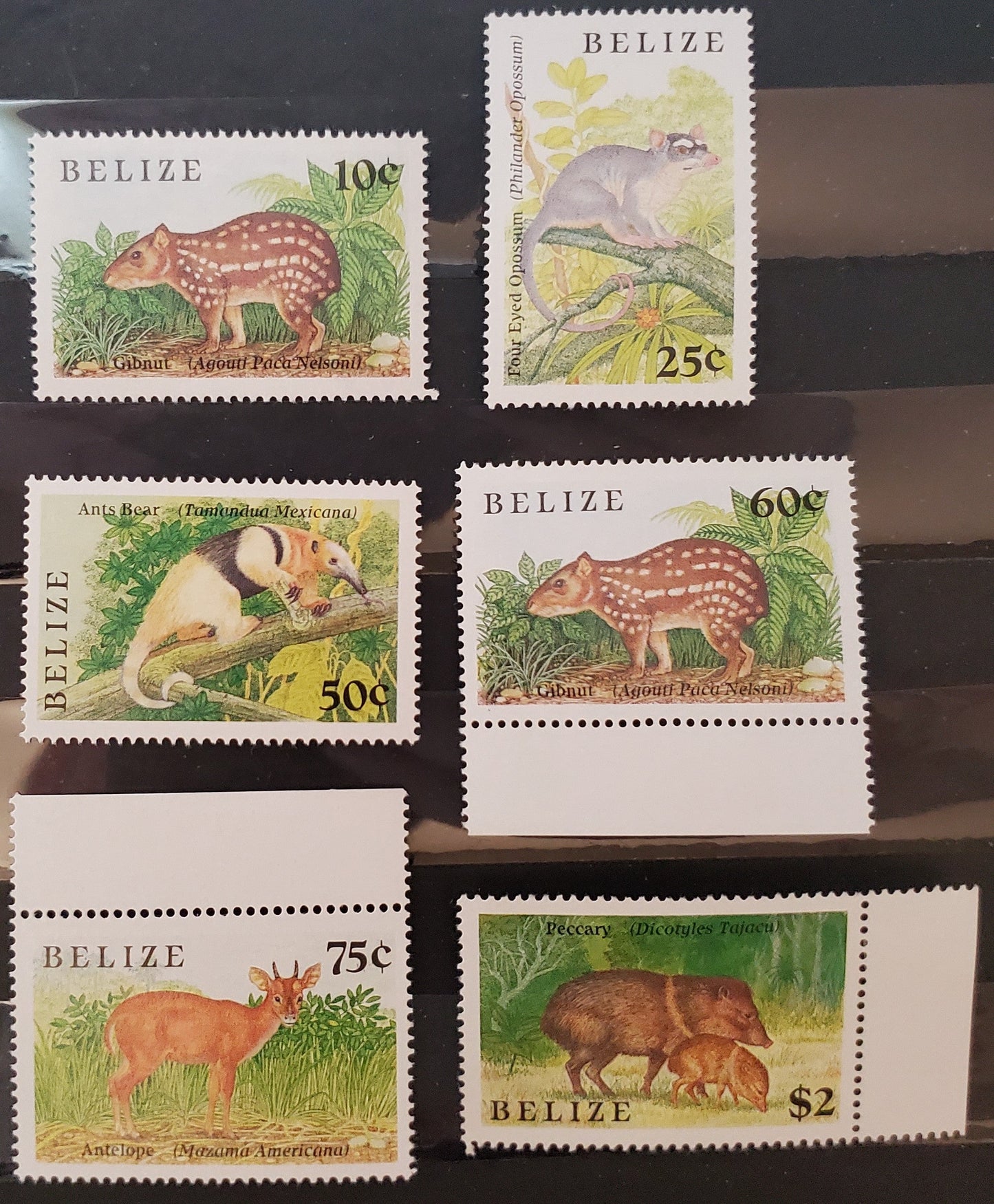 Lot  3 Belize SC#910-915 1989 Indigenous Small Animals Issue, 6 VFNH and OG Singles, Click on Listing to See ALL Pictures, 2017 Scott Cat. $30