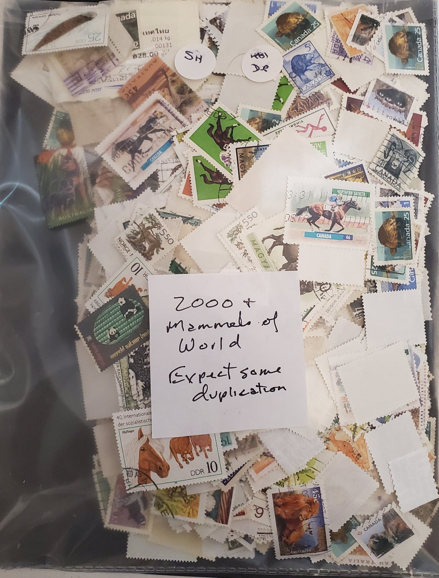 Lot 481 Worldwide, 2000+ F/VF Used Singles Assorted Mammals On Stamps - Expect Some Duplication