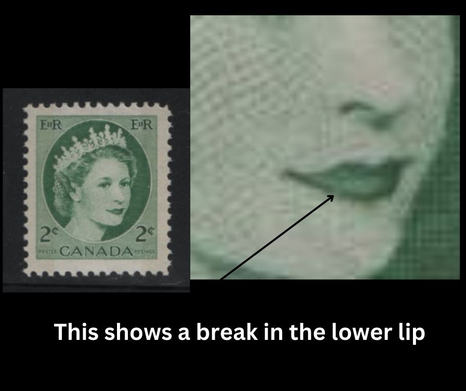 Lot 500 Canada #338pvar 2c Green Queen Elizabeth II, 1954-1962 Wilding Issue, A VFNH Single Winnipeg Tagged, On DF1 Greyish Horizontal Wove Paper With Vertical Ribbing On Gum Side, Smooth Semi-Gloss Gum, Showing Break In Lower Lip