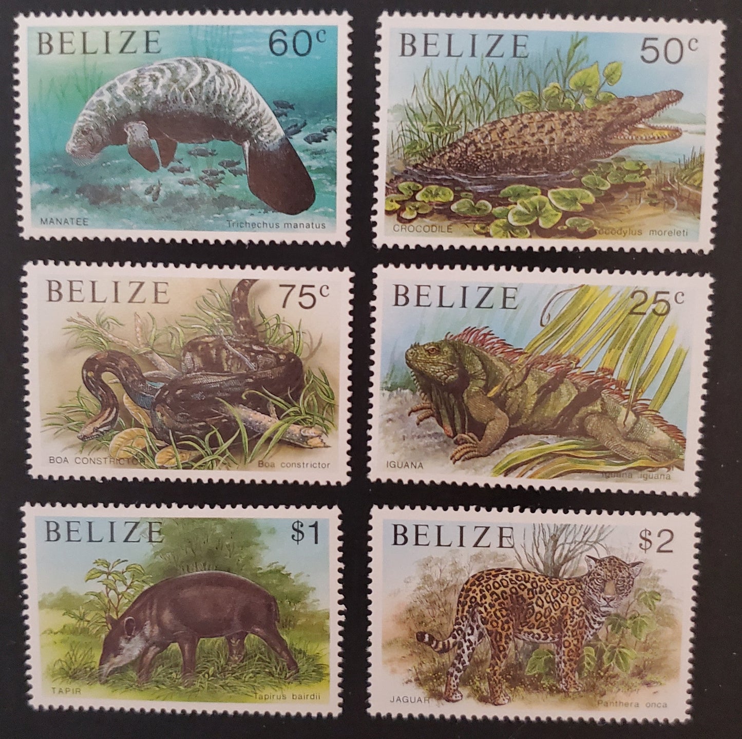 Lot  5 Belize SC#963-968 1991 Indigenous Fauna Issue, 6 VFNH Singles, Click on Listing to See ALL Pictures, 2017 Scott Cat. $19.85