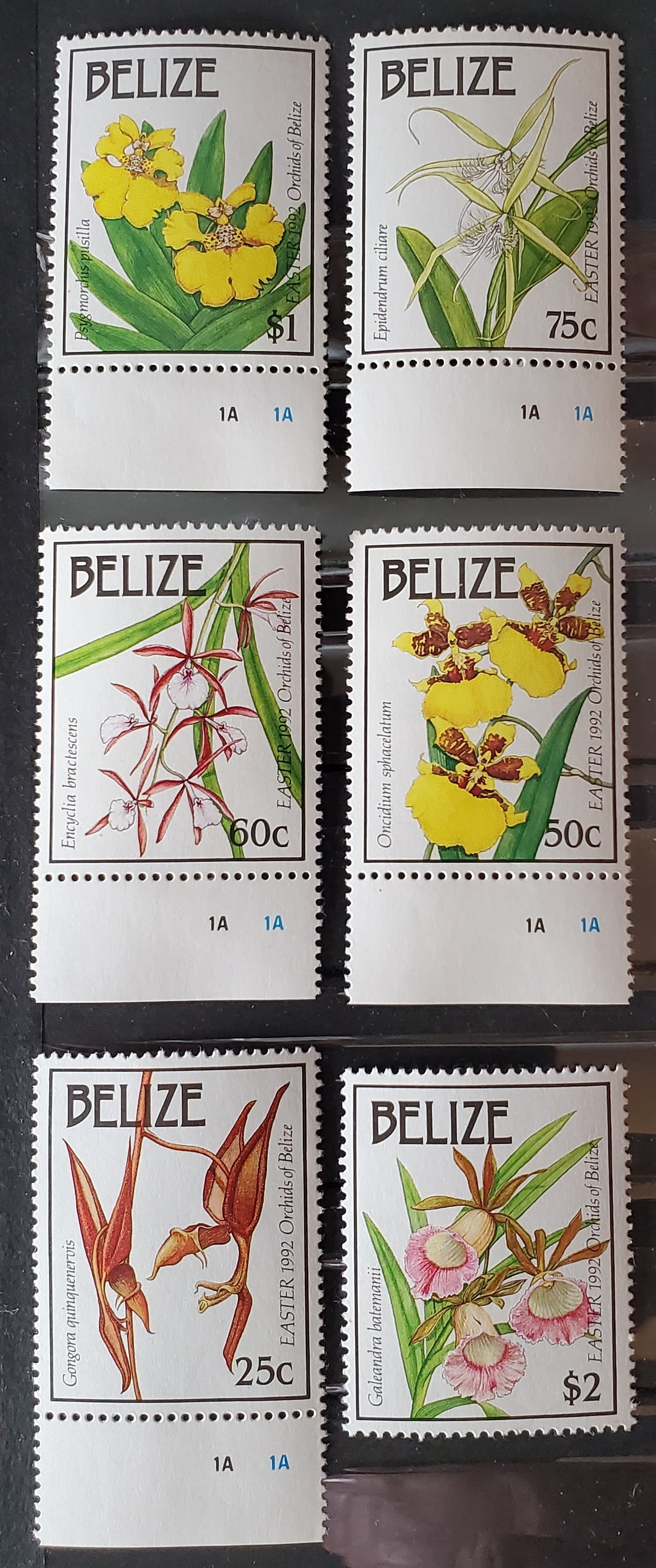 Lot  8 Belize SC#985-990 1992 Orchids Issue, 6 VFNH Singles, Click on Listing to See ALL Pictures, 2017 Scott Cat. $20.5