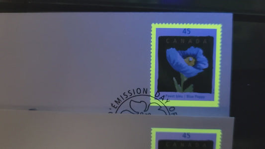 Canada  #1638 45c Multicoloured Blue Poppy, 1997 Quebec en Fleurs Issue, 4 VF Canada Post FDC's Franked With Singles, DF1, DF2, HF Envelopes & HF Postcard