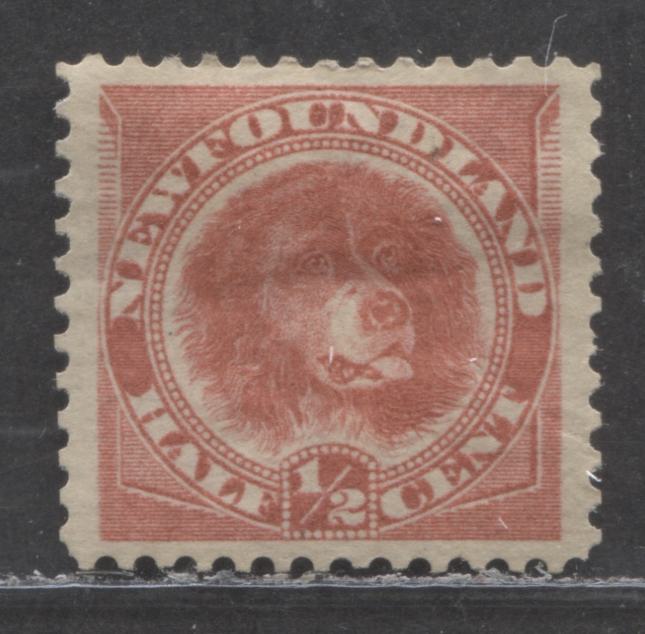 Lot 117 Newfoundland #56a 1/2c Deep Rose Red Newfoundland Dog, 1887-1898 Fourth Cent's Issue, A VFOG Single