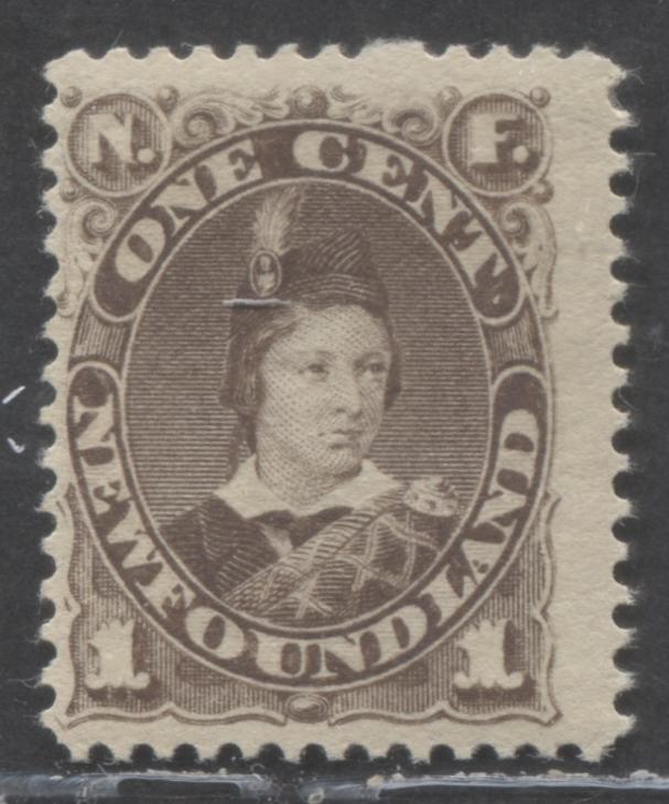 Lot 122 Newfoundland #43 1c Brown Edward, Prince Of Wales, 1880-1896 Third Cent Issue, A FOG Single On Soft Horizontal Wove Paper
