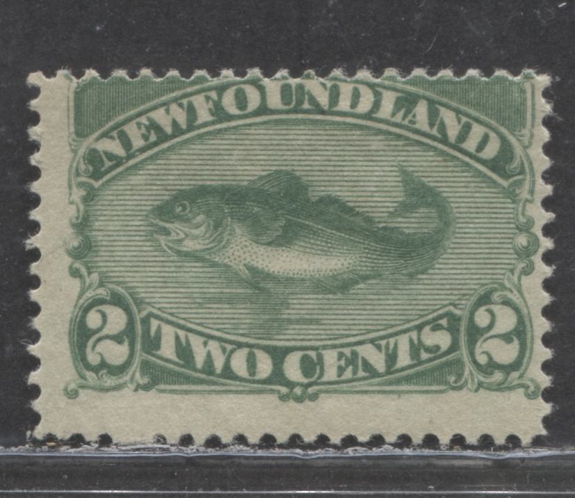 Lot 125 Newfoundland #47 2c Green Codfish, 1880-1896 Third Cent Issue, A VGOG Single On Soft Horizontal Wove Paper