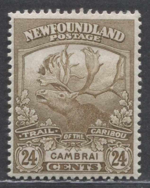 Lot 177 Newfoundland #125 24c Bistre Cambrai, 1919 Trail Of The Caribou Issue, A VFOG Single, Line Perf 14.1