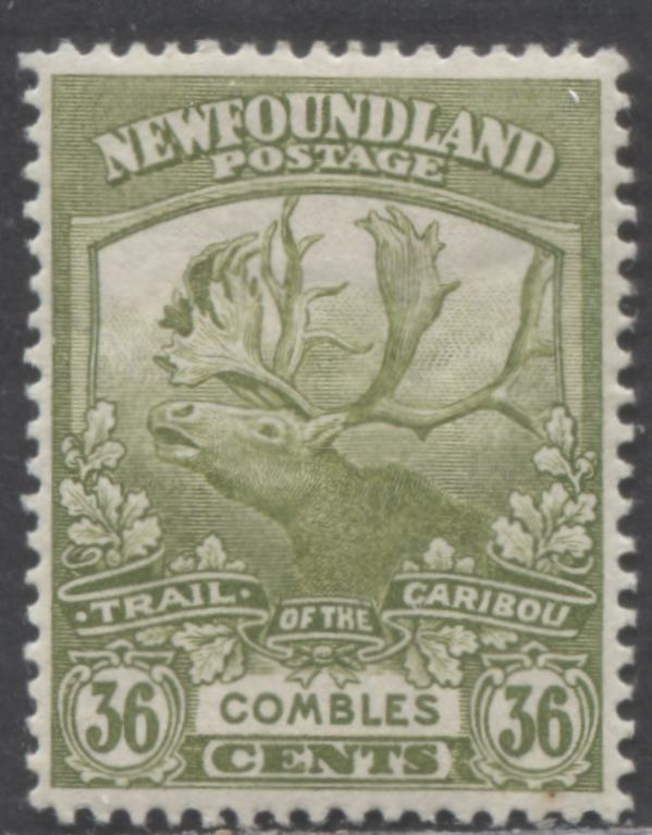 Lot 429 Newfoundland #126 36c Olive Green Combles, 1919 Trail Of The Caribou Issue, A VFOG Single, Perf 14.1