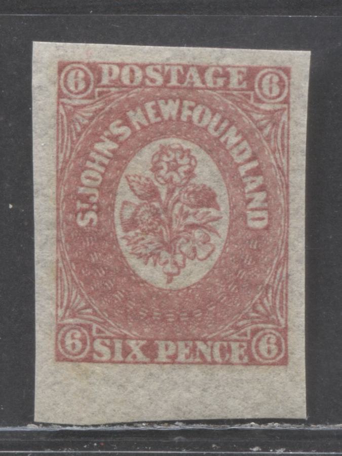 Lot 93 Newfoundland #20 6d Rose Heraldic Flowers, 1861 - 1862 Third Pence Issue, A GEM NH Single