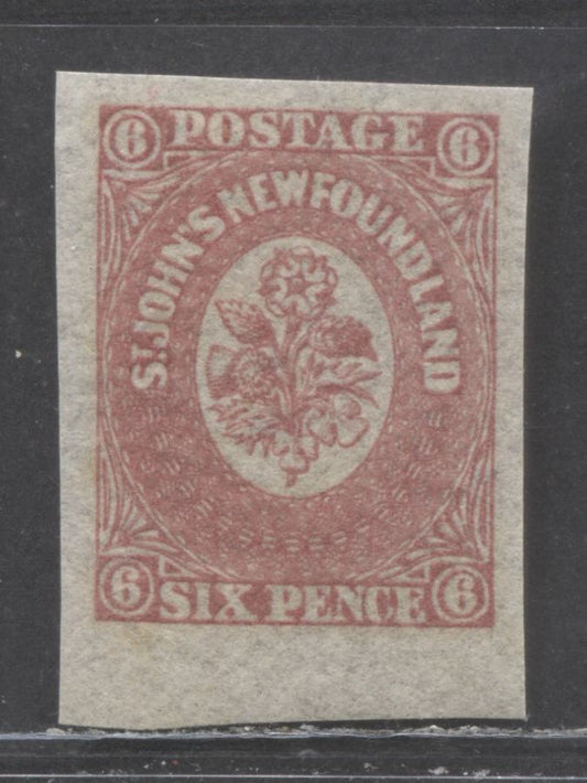 Lot 93 Newfoundland #20 6d Rose Heraldic Flowers, 1861 - 1862 Third Pence Issue, A GEM NH Single
