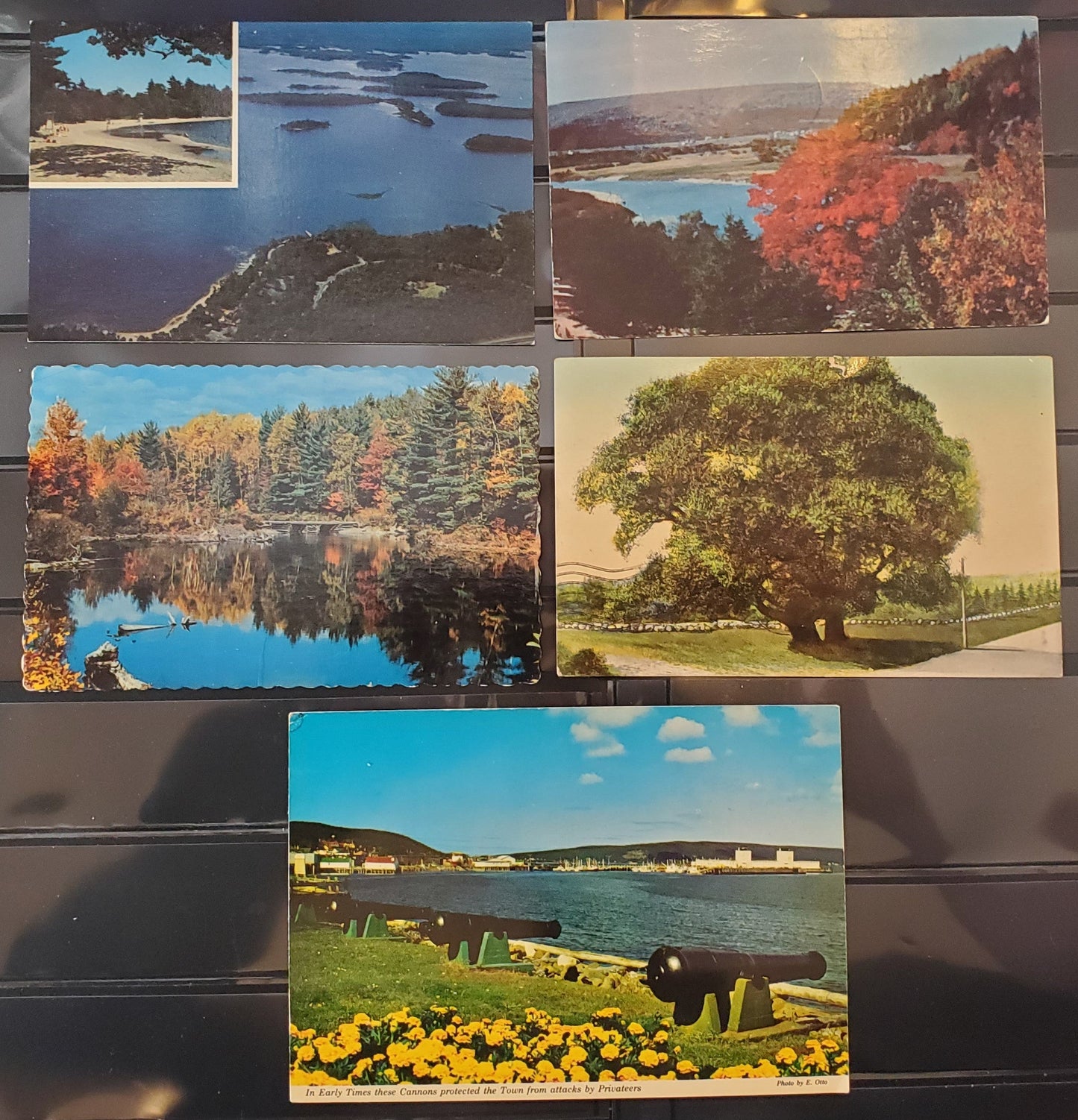 Lot 335 A Group of 5 Postcards From Nova Scotia, Showing Various Views, From The 1910's, 1950's-1970's, Overall VG and VF, Net Est. $2