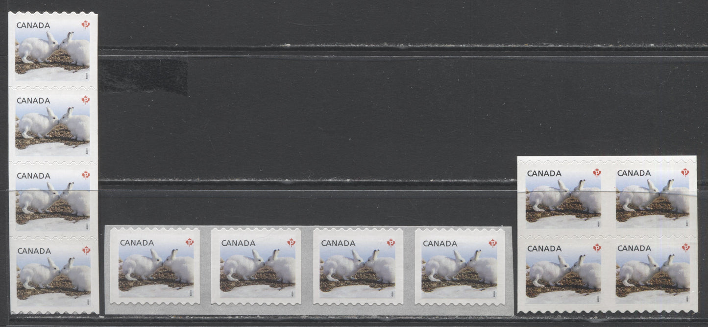Lot 129 Canada #2425,2426,iv P(59c) Multicolored Arctic Hare, 2011 Baby Wildlife Definitives, 3 VFNH Strips Of 4 & Block Of 4 With Imperf Between Stamps