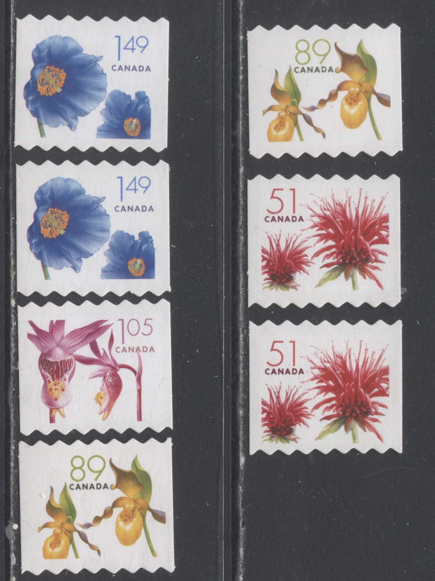 Lot 37 Canada #2128iii-2131iii 51c-$1.49 Multicolored Red Bergamot,Himalayan Blue Poppy, 2005-2006 Flower Definitives (2) - Coils, 7 VFNH Singles With Strong And Pale Tagging, Die Cut To Shape Singles $40