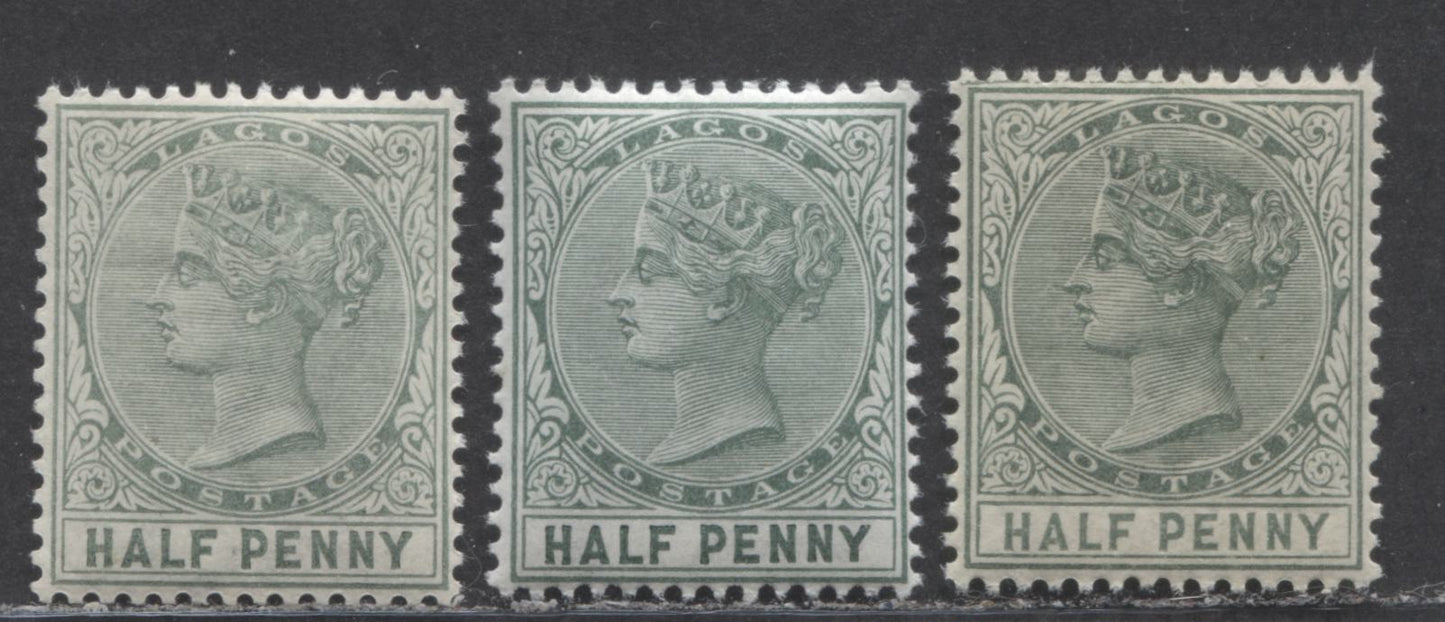 Lot 104 Lagos SC#13 1/2d Dull Pale Green, Dull Blue Green & Dull Green 1884-1886 Colour Changes & New Values, Crown CA Watermark, Perf 14 Comb, 3 VFNH Examples, Each A Different Printing, Click on Listing to See ALL Pictures, Estimated Value $20 USD