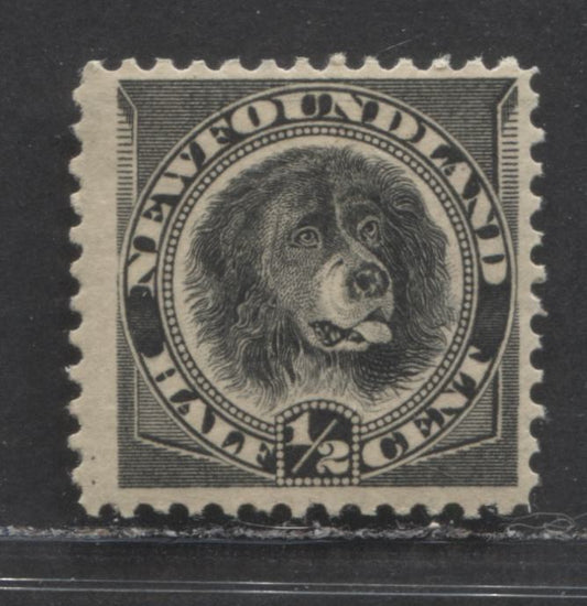 Newfoundland #58 1/2c Black Newfoundland Dog, 1887-1898 Fourth Cent's Issue, A FNH Single On Vertical Wove Paper, Perf 12.1