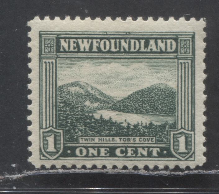 Lot 135 Newfoundland #131 1c Grey Green Twin Hills, Tor's Cove, 1923 - 1924 Pictoral Issue, A VFNH Single With Line Perf 14x14.1