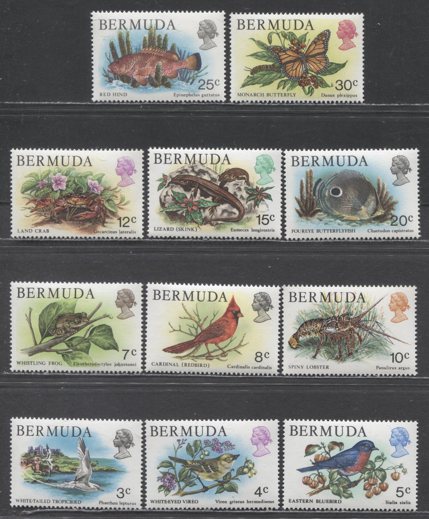 Bermuda SC#363-373 1978-1979 Bird & Wildlife Definitives, Short Set, 11 VFNH Singles, Click on Listing to See ALL Pictures, 2022 Scott Classic Cat. $11.15 USD