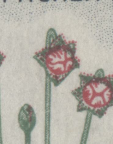 Canada #427var 5c Black, Green & Carmine Newfoundland, 1964 Floral Emblems & Coat Of Arms, 3 VFNH Singles With Upward Shift & Rightward Shift Of Red With Normal, DF Papers, Perf 11.9