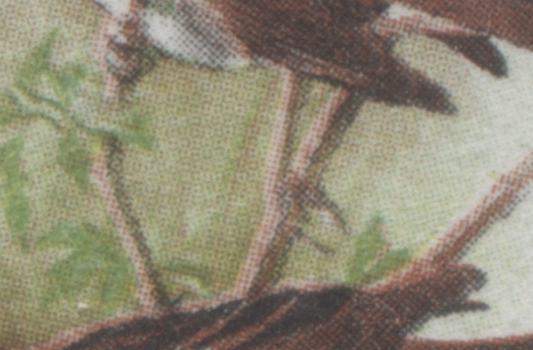 Canada #496 var 6c Multicolured White Throated Sparrow, 1969 Birds Issue, 2 VFNH SIngles With Yellow Almost Completely Missing & Branches Rightward, With Normal For Comparison