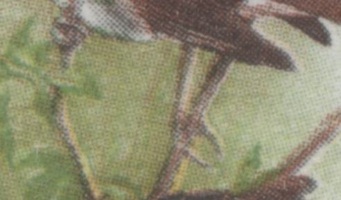 Canada #496 var 6c Multicolured White Throated Sparrow, 1969 Birds Issue, 2 VFNH SIngles With Yellow Almost Completely Missing & Branches Rightward, With Normal For Comparison