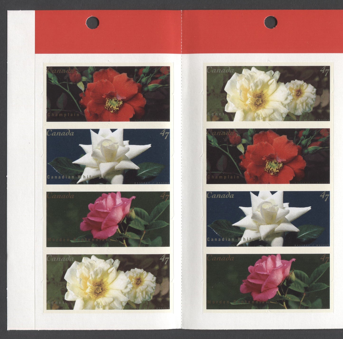 Canada #BK245a-b 2001 Roses Issue, Complete $5.64 Booklet, JAC Paper, Dead Paper, 4 mm GT-4 Tagging