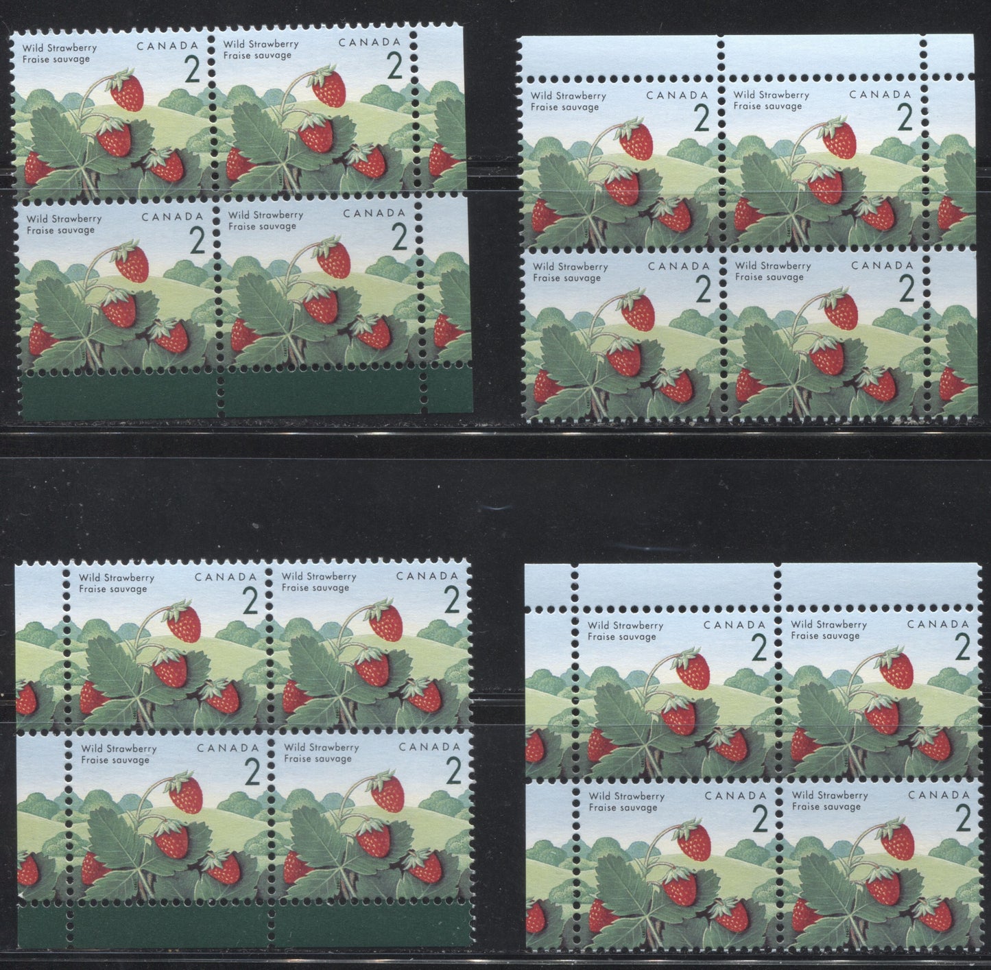 Canada #1350ii 2c Wild Strawberry, 1991-1998 Fruit & Flag Definitive Issue, A VFNH Matched Set of Field Stock Blocks, Canadian Bank Note Printing on Coated Papers Paper, Including "Snake in Bush" Variety