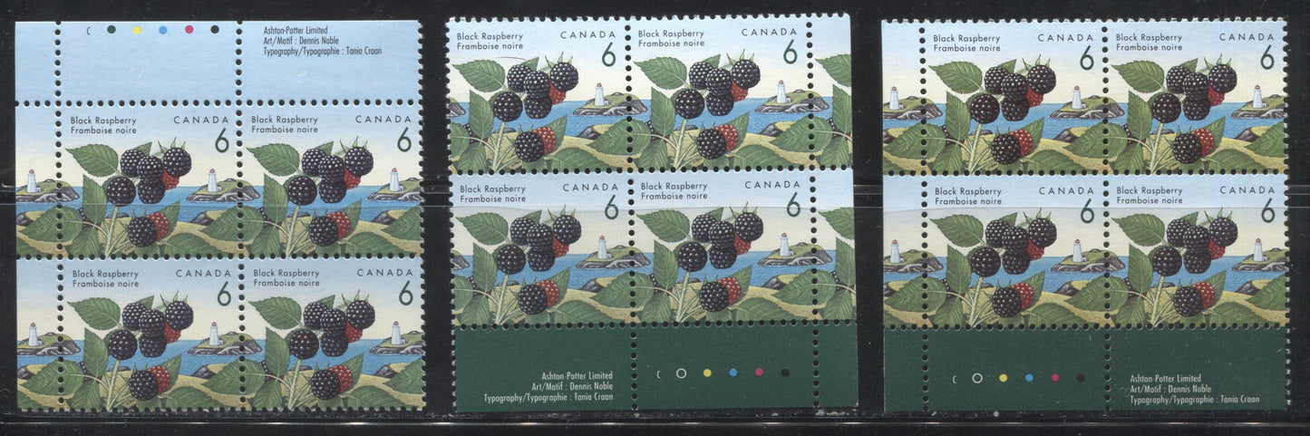 Canada #1353 6c Black Raspberry, 1991-1998 Fruit & Flag Definitive Issue, VFNH UL, LL, LR Inscription Blocks, Ashton Potter Printing on Coated Papers Paper