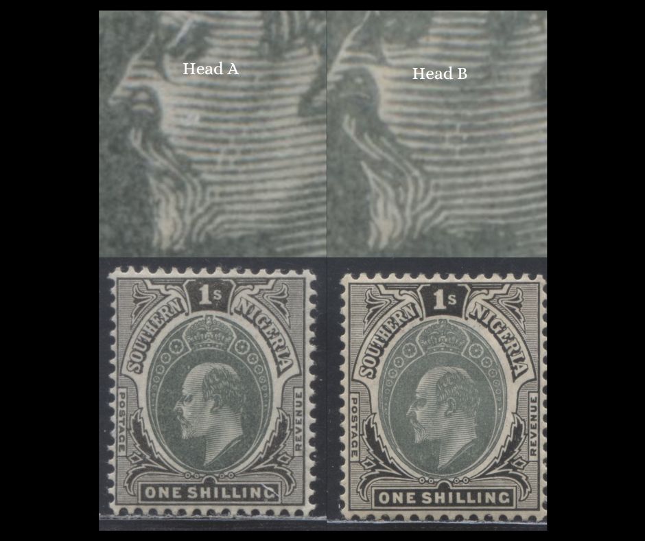 Lot 89 Southern Nigeria SC#32var 1/2d Dull Green/Blue Green 1907-1910 Universal Color Edward VII Keyplate Issue, Head A (Common Type Is Head B), Multiple Crown CA Wmk, 2 VFOG/NH Singles, 2022 Scott Classic Cat. $51 USD