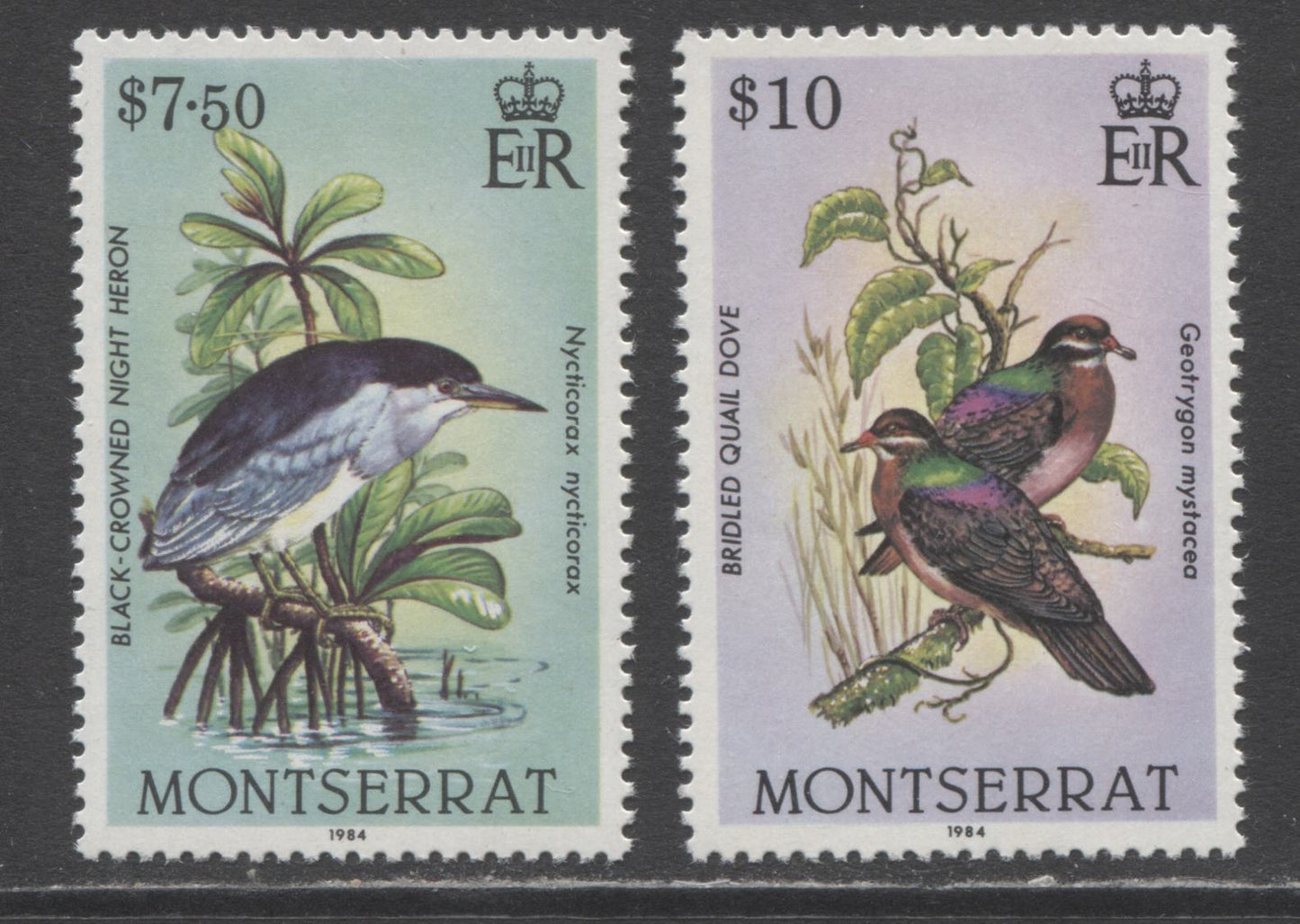 Lot 176 Montserrat SC#537-538 1984 Birds Definitives, A VFNH Range Of Singles, 2017 Scott Cat. $19.5 USD, Click on Listing to See ALL Pictures