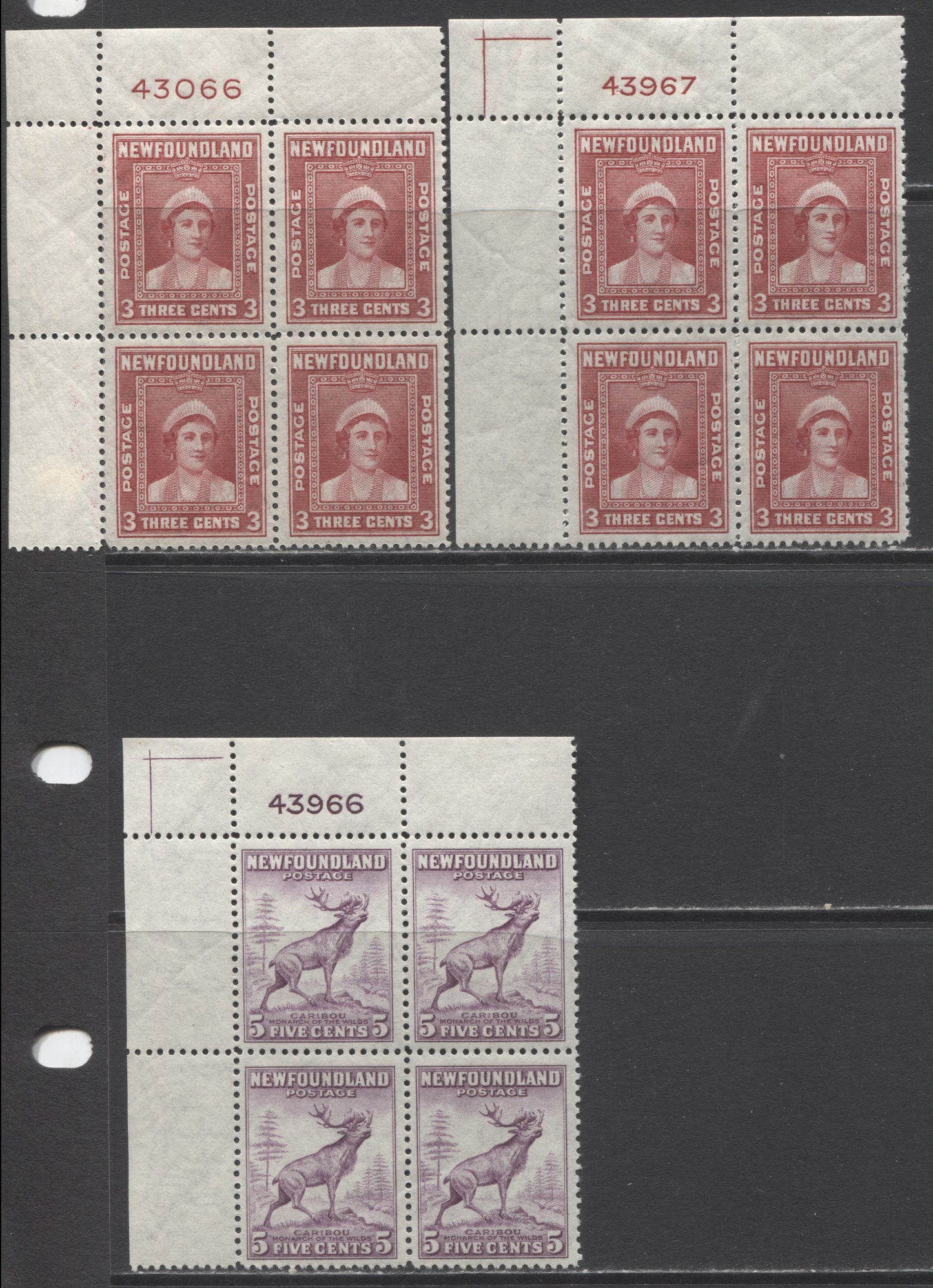 Lot 213 Newfoundland #255, 257 3c & 5c Rose Carmine & Violet Queen Elizabeth & Caribou, 1941-1944 Resources Re-Issue, 3 F/VFNH UL Plate Blocks Of 4