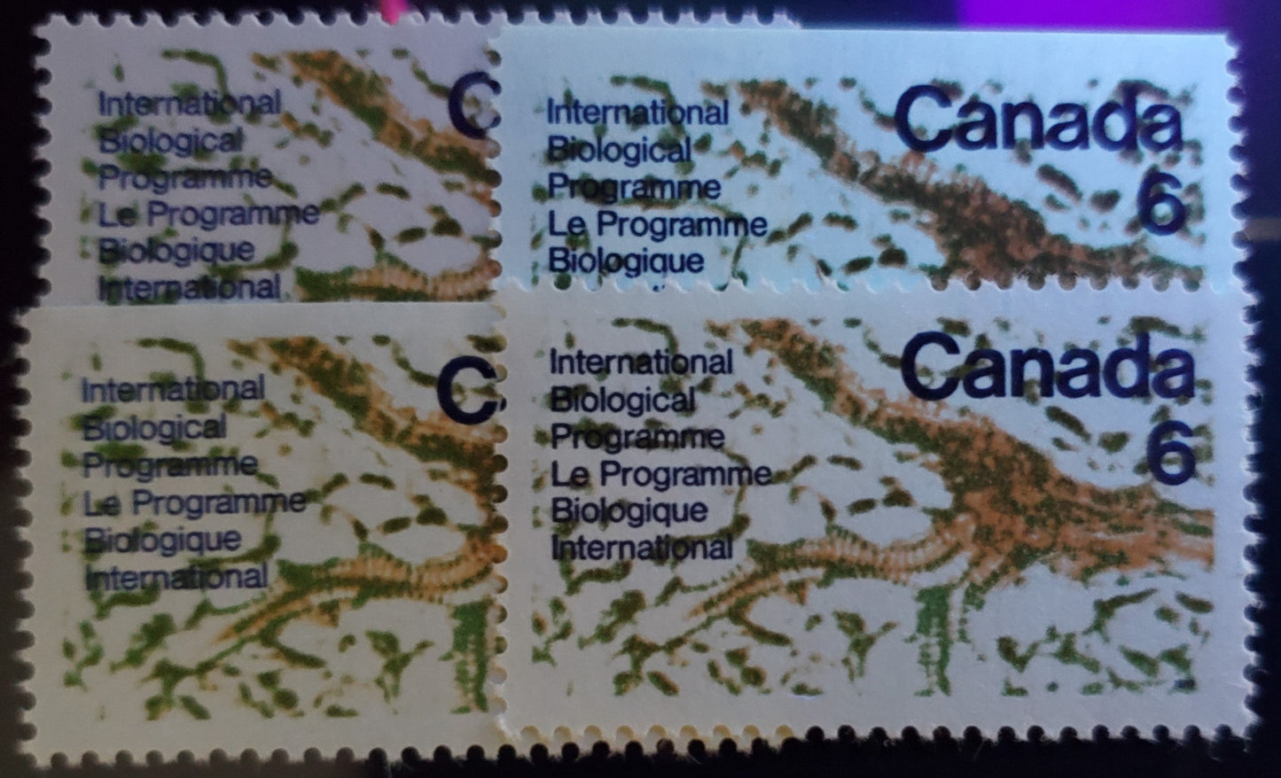 Canada #505-505p, 506-507 6c 1970 Manitoba Centennial, Northwest Territories Centennial And United Nations Biological Programme Issues, 16 VFNH Singles On A Variety Of Smooth And Ribbed Paper, Mostly Unlisted. With LF Backed 505 & Smooth 507