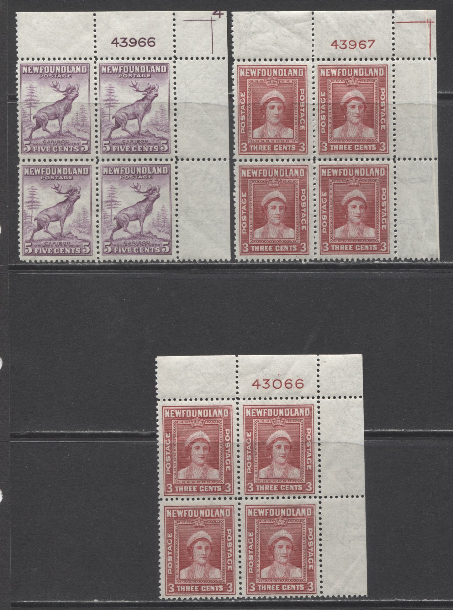 Lot 214 Newfoundland #255, 257 3c & 5c Rose Carmine & Violet Queen Elizabeth & Caribou, 1941-1944 Resources Re-Issue, 3 F/VFNH UR Plate Blocks Of 4