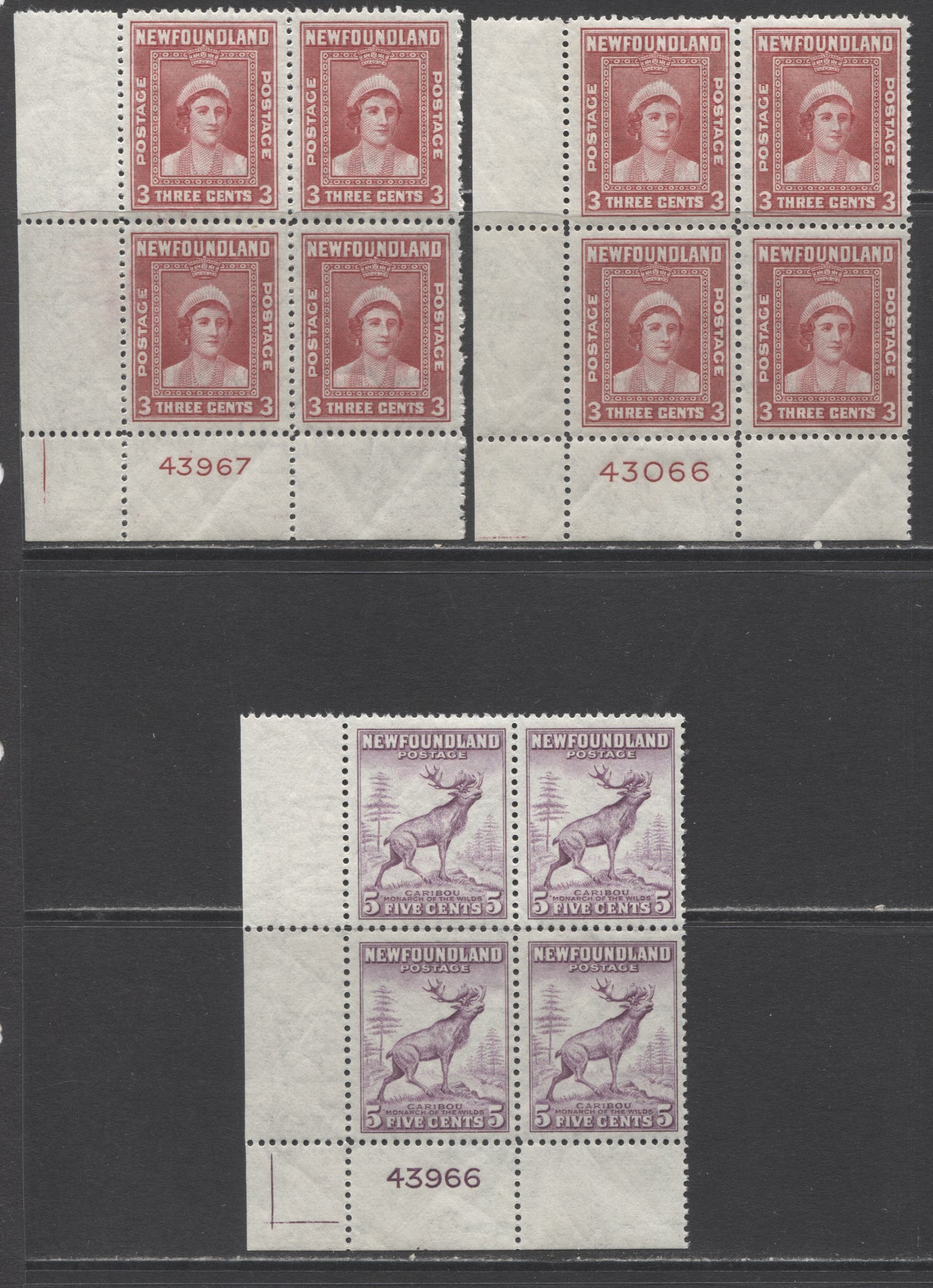 Lot 215 Newfoundland #255, 257 3c & 5c Rose Carmine & Violet Queen Elizabeth & Caribou, 1941-1944 Resources Re-Issue, 3 F/VFNH LL Plate Blocks Of 4