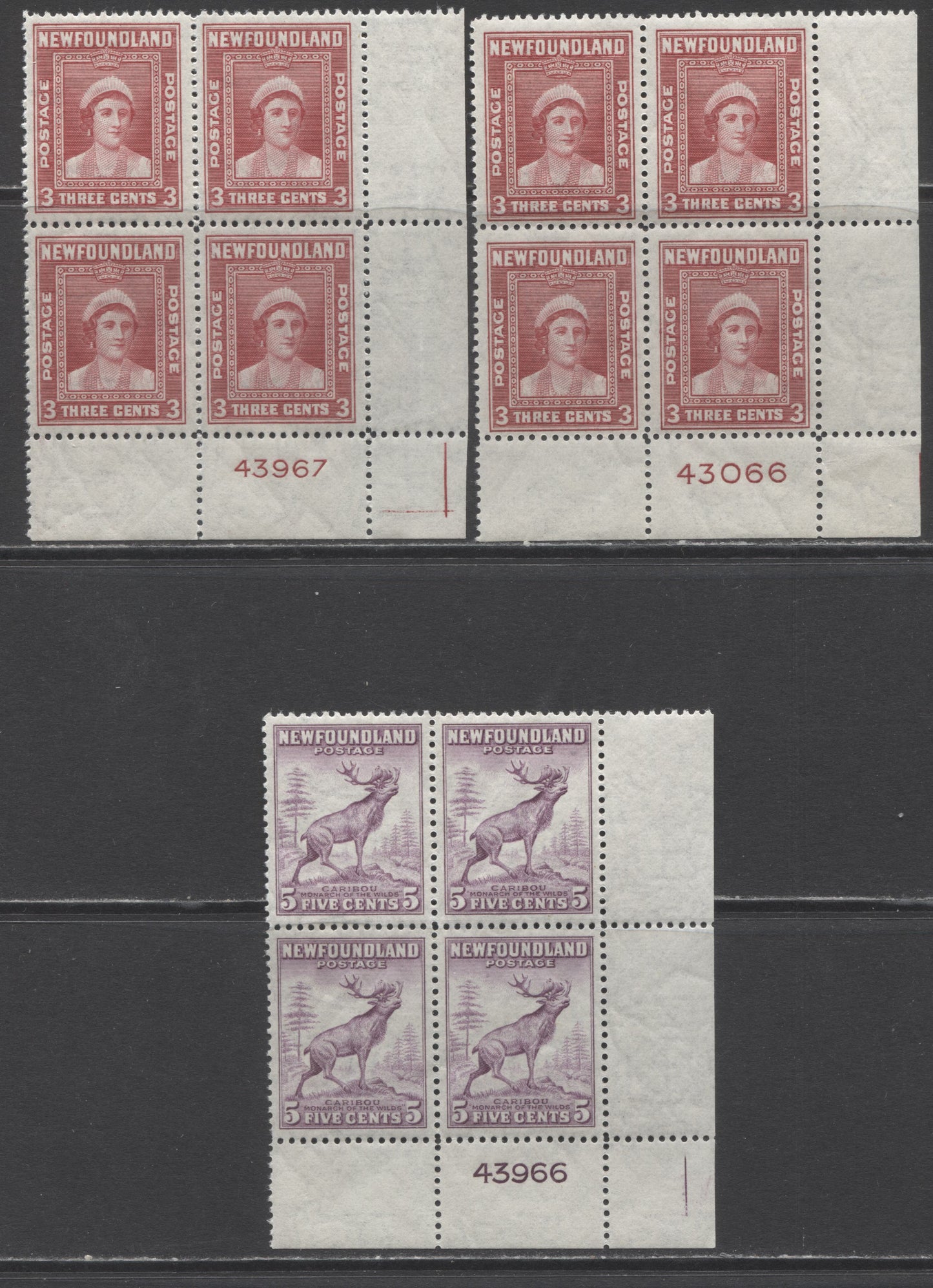 Lot 216 Newfoundland #255, 257 3c & 5c Rose Carmine & Violet Queen Elizabeth & Caribou, 1941-1944 Resources Re-Issue, 3 F/VFNH LR Plate Blocks Of 4