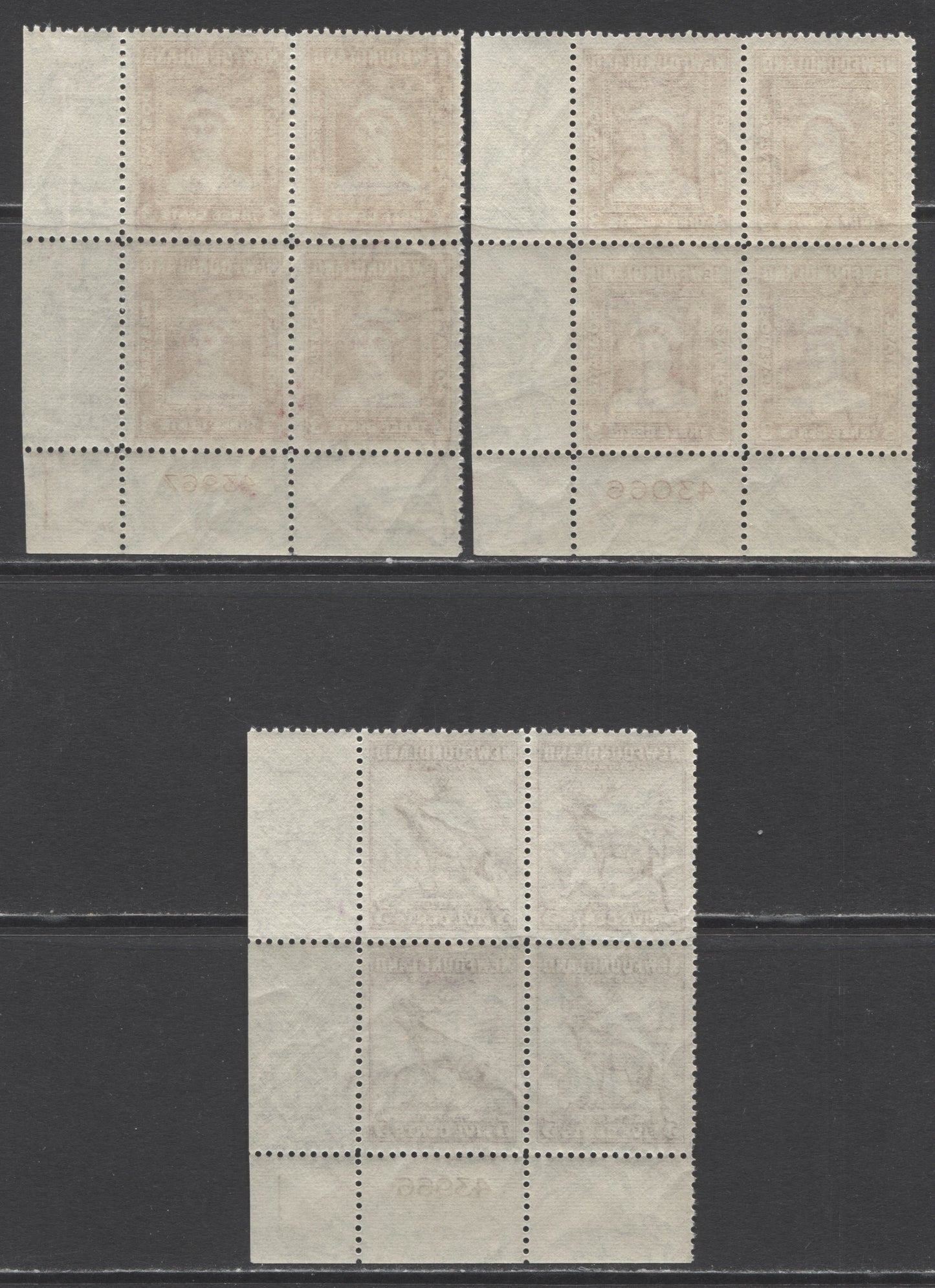 Lot 216 Newfoundland #255, 257 3c & 5c Rose Carmine & Violet Queen Elizabeth & Caribou, 1941-1944 Resources Re-Issue, 3 F/VFNH LR Plate Blocks Of 4