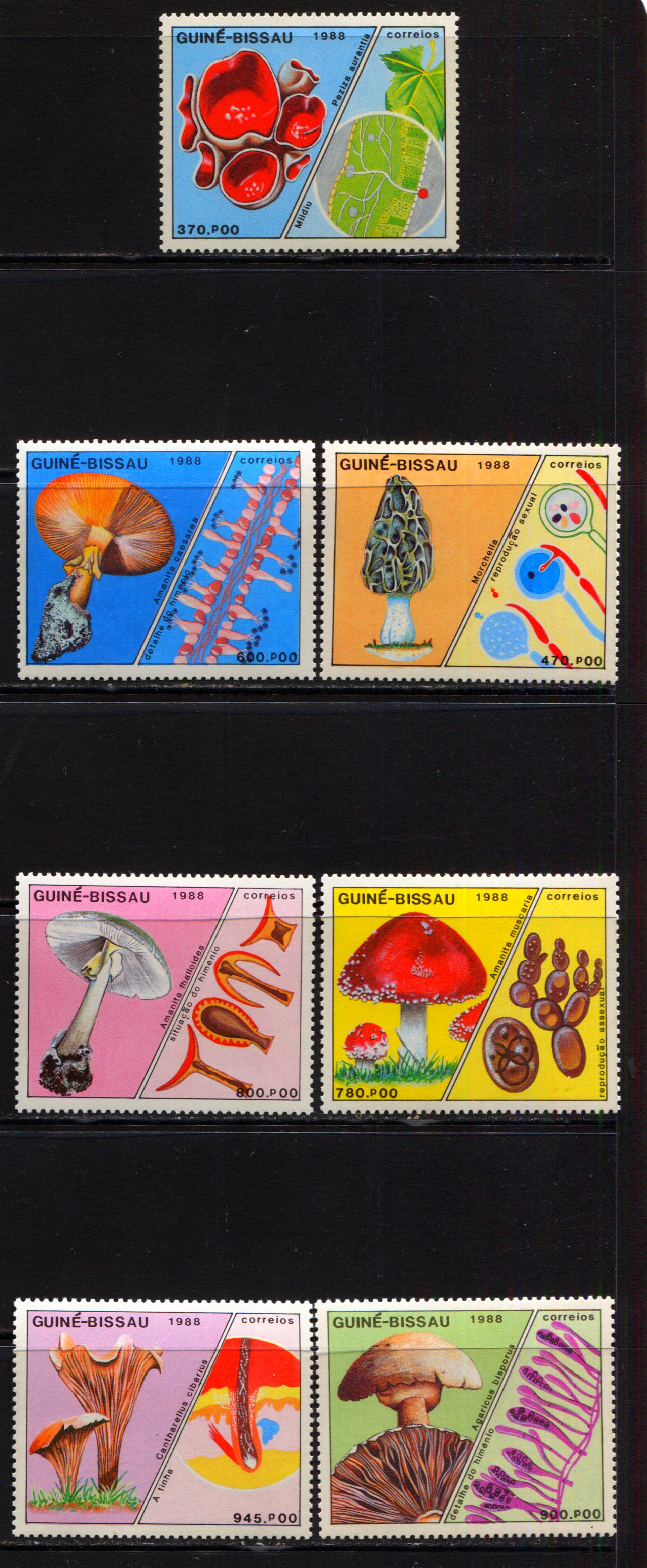 Lot 249 Guinea-Bissau SC#765-771 1988 Mushrooms Issue, A VFNH Range Of Singles, 2017 Scott Cat. $32.75 USD, Click on Listing to See ALL Pictures