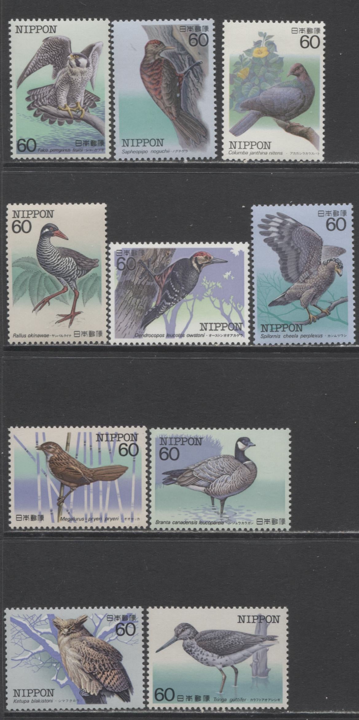 Lot 320 Japan SC#1534-1543 1983 Birds Issue, A VFNH Complete Set, 2017 Scott Cat. $10 USD, Click on Listing to See ALL Pictures