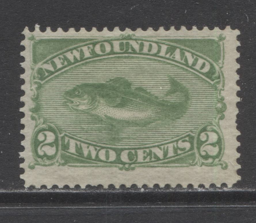 Lot 327 Newfoundland #46 2c Yellow Green Codfish, 1880-1896 Third Cents Issue, A VGOG Single On Stout Horizontal Wove Paper