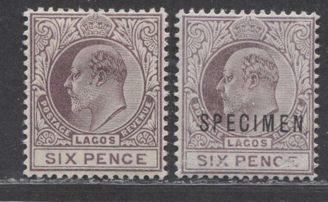 Lot 328 Lagos SG#49, 49s (SC#45) 6d Dull Purple and Purple King Edward VII, 1903-1904 Crown CA Watermarked Issue, Fine and VFOG Examples With and Without Specimen, Net Est. $62.50,  Click on Listing to See ALL Pictures