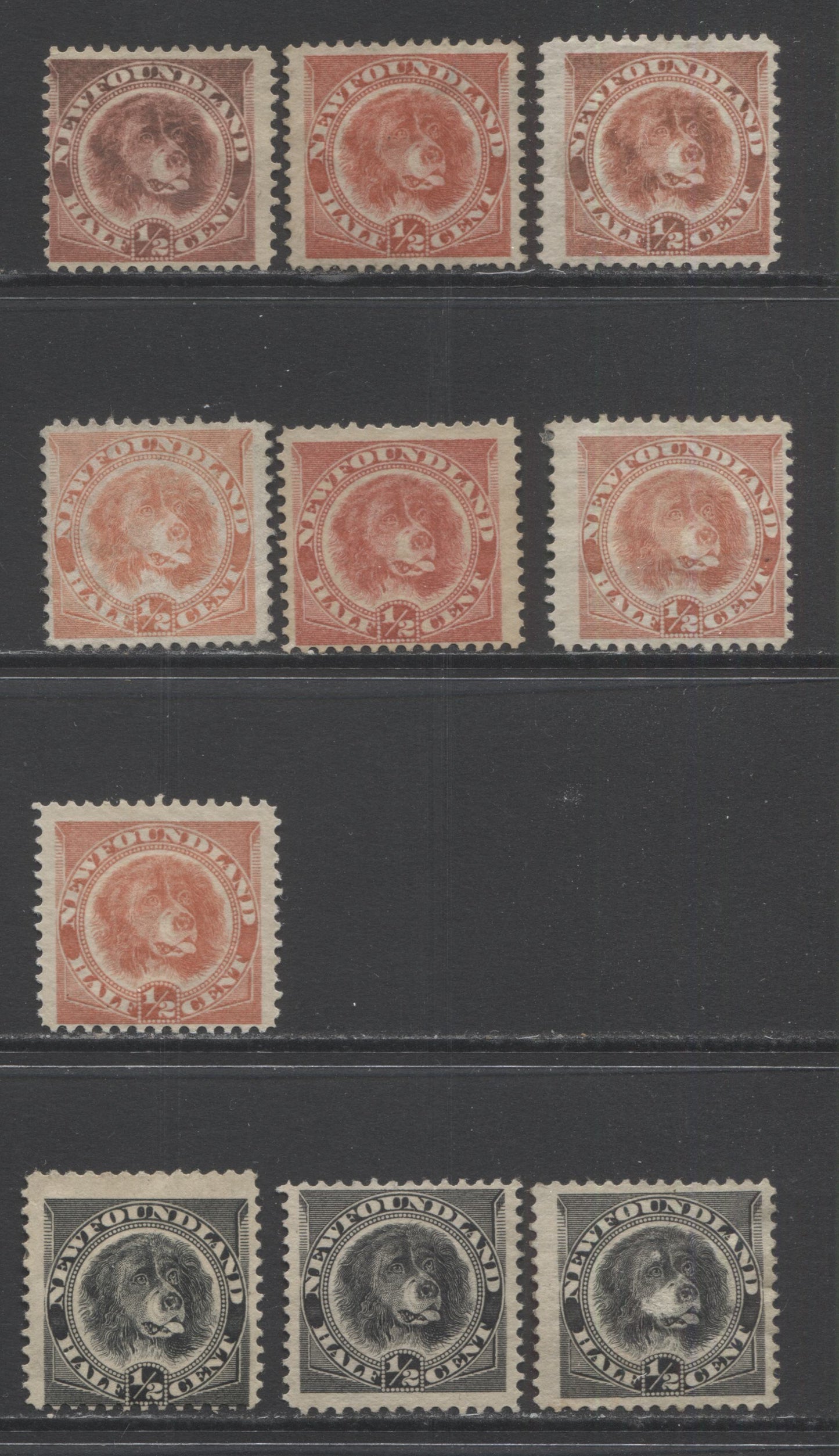 Lot 336 Newfoundland #56, 58 1/2c Rose Red & Black Newfoundland Dog, 1887-1898 Third Cents Issue, 9 Good - Fine Unused Singles, A Study Lot Showing Different Shades Of Black & Rose Red & Papers