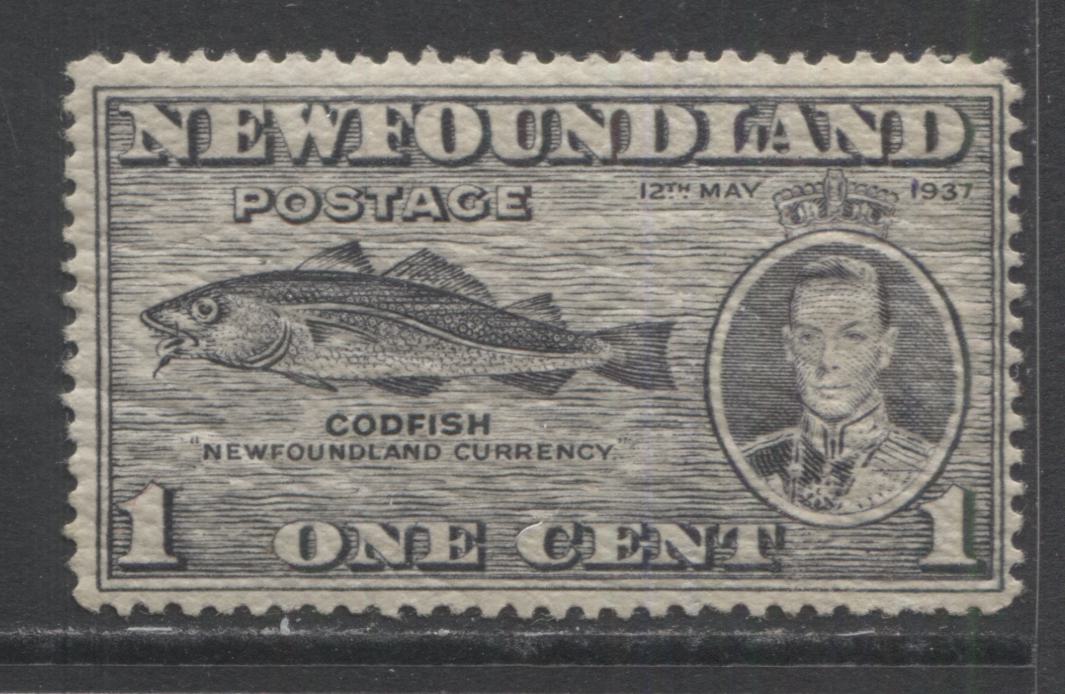 Lot 338 Newfoundland #233i 1c Gray Black Codfish, 1937 Long Coronation Issue, A FLH Single Showing The Fishhook Variety, Perf 14.25