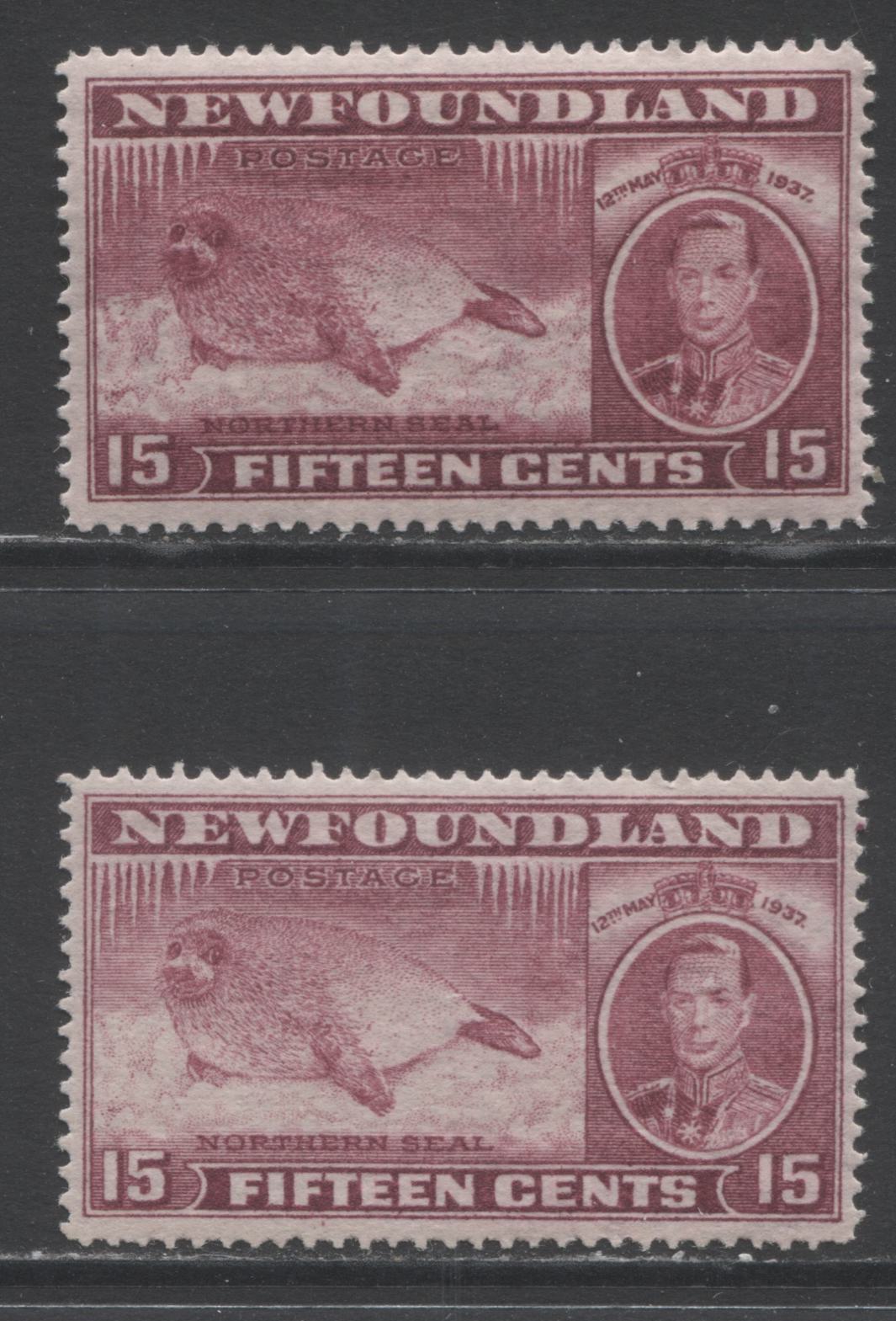 Lot 341 Newfoundland #239 15c Claret Harp Seal Pup, 1937 Long Coronation Issue, 2 VFNH Singles Showing Two Different Shades & Perfs