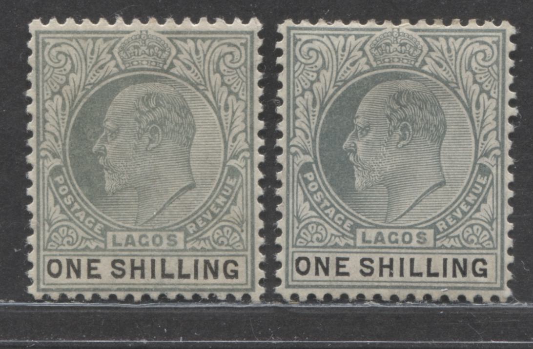 Lot 344 Lagos SG#60-60a (SC#56-56a) 1/- Dull Green and Black, King Edward VII, 1904-1906 Multiple Crown CA Issue, a Very Fine OG Examples of the Ordinary and Chalky Papers, 2022 Scott Classic Cat. $48.5 USD,  Click on Listing to See ALL Pictures