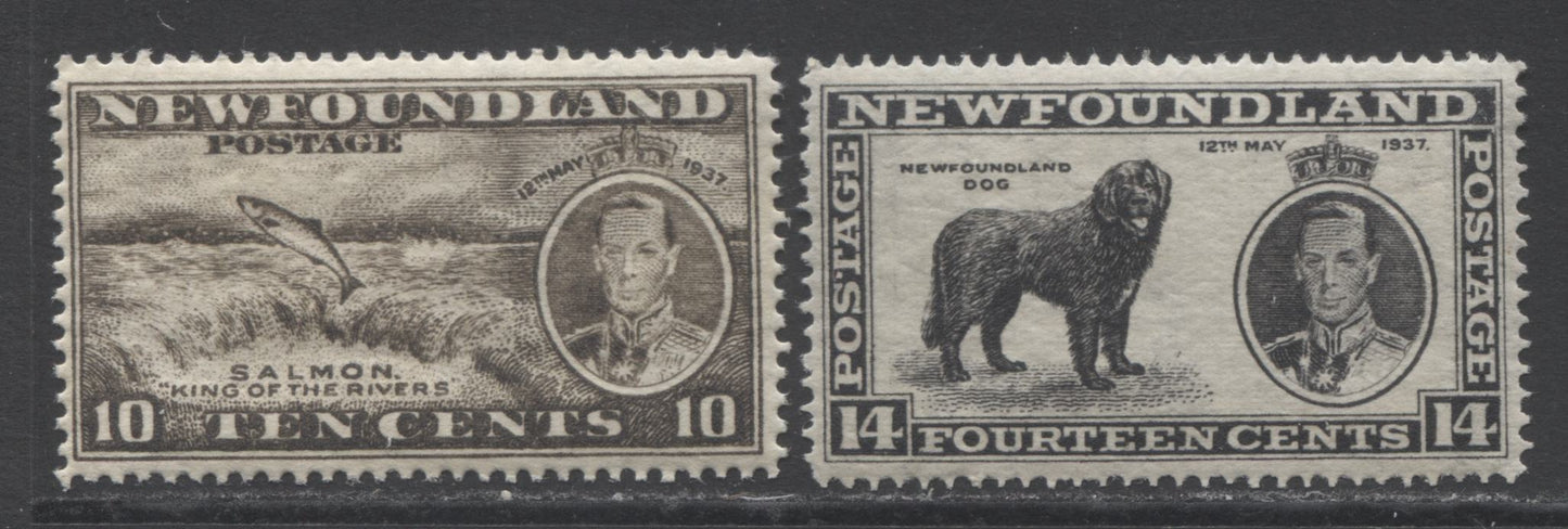 Lot 346 Newfoundland #237-238 10c & 14c Deep Olive & Black Salmon & NFLD Dog, 1937 Long Coronation Issue, 2 VFNH Singles, Perf 13.9 & Perf 14.25