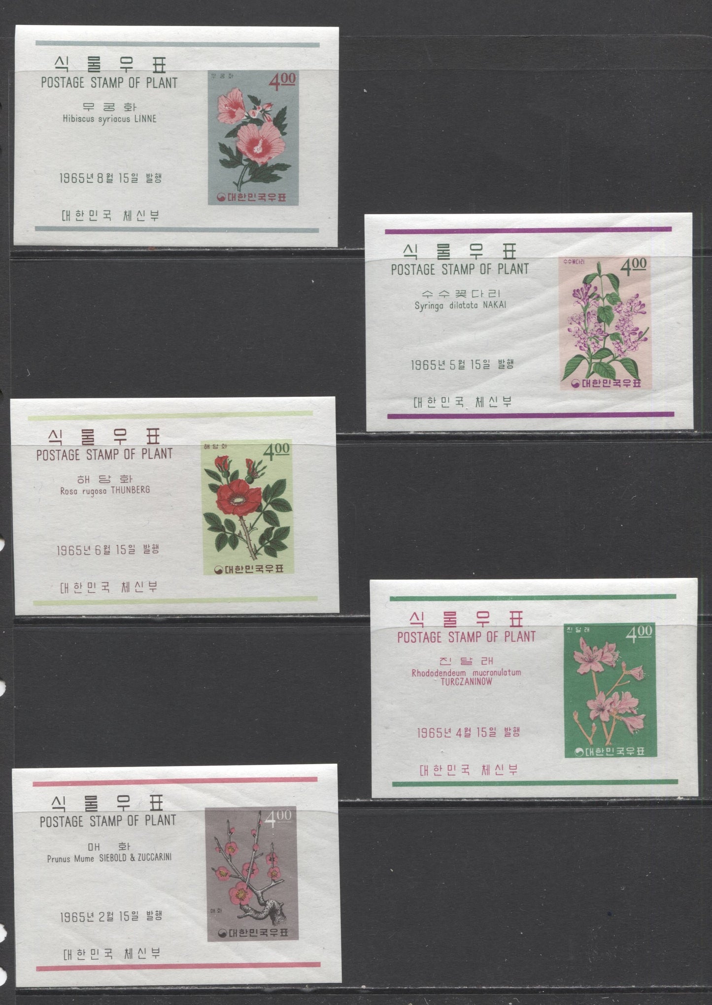 Lot 364 Korea SC#457a/465a 1965 Plants Issue, A VFNH Range Of Imperf Souvenir Sheets, 2017 Scott Cat. $16.25 USD, Click on Listing to See ALL Pictures