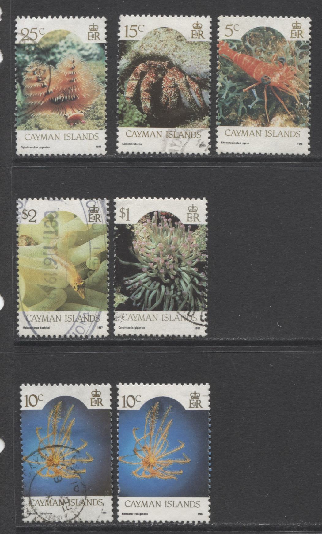 Lot 46 Cayman Islands SC#563a/572a 1986-1990 Marine Life Definitives, A VF Used Range Of Better Singles, 2017 Scott Cat. $35.25 USD, Click on Listing to See ALL Pictures